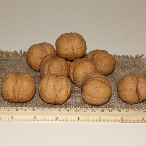 ОРЕХ ГРЕЦКИЙ "БРОДВЕЙ" (BROADWAY)